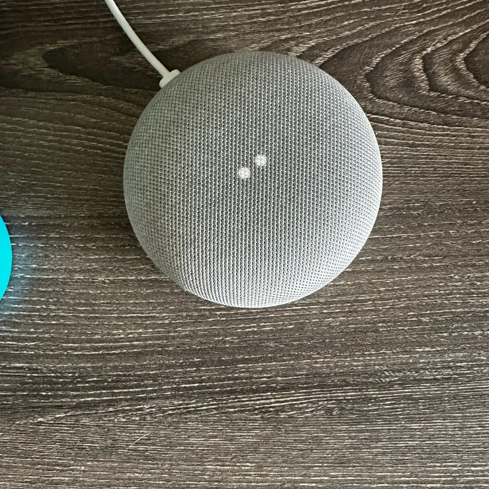Google home mini